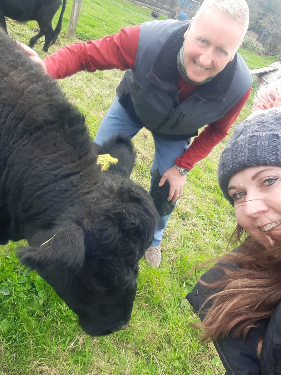 Ever tried to take a selfie with a Dexter? Cookie @ballyboleydexters loved the challenge. Collected my beef knowing it was born there, raised there, sold there, check out their story! Great to hear about their #pastureforlife #naturefriendlyfarming