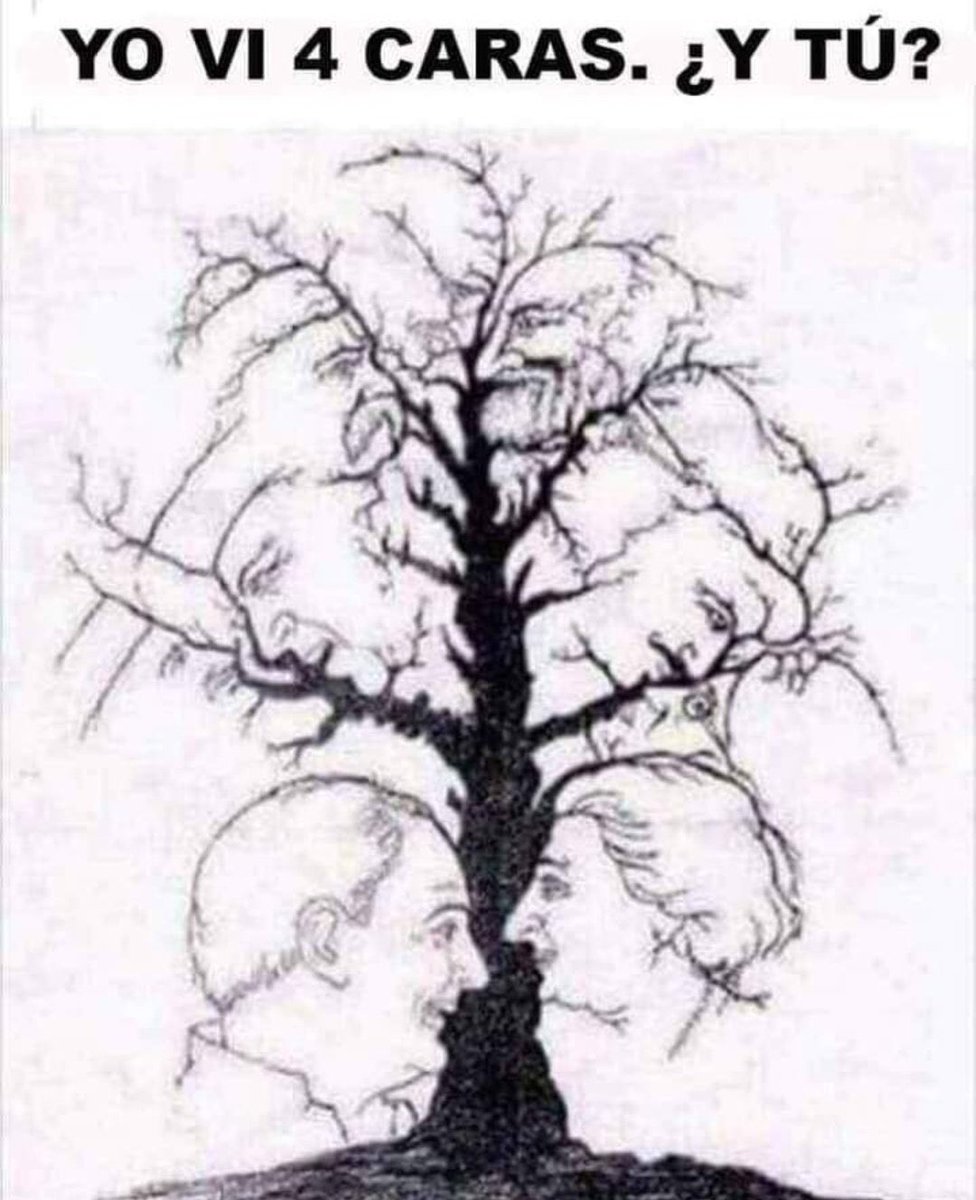 Iván Fernández De Lara ∴🌿 tweet media