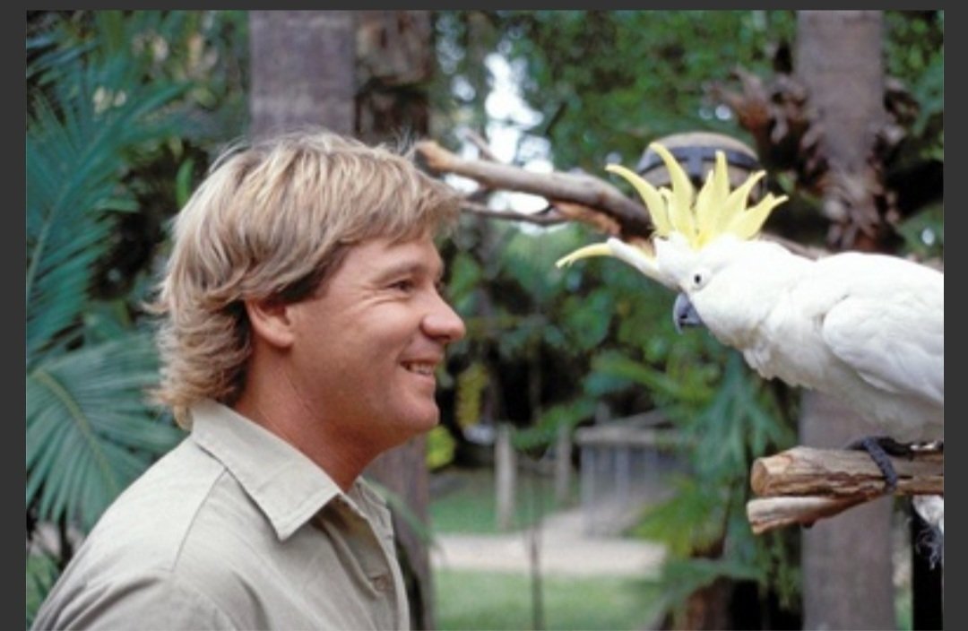 AlwaysForward88's tweet photo. @AngelaBelcamino And not sure he was a "celebrity", but Steve Irwin's passing really hurt me. I know there are a variety of opinions about him, but I felt he did a great deal for animal conservation. The animals need all the champions they can get!💔 https://t.co/cEJDlOCpF9