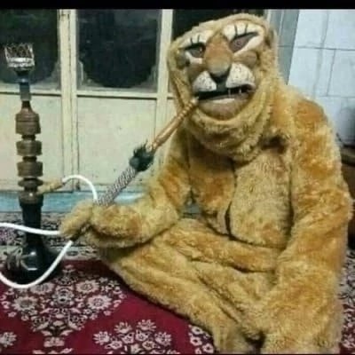 Хочу сделать нормальное фото себя, но осознаю тот факт, что сделать себя нормальным, пусть даже и для фото, будет практически невозможно, потому что это я.