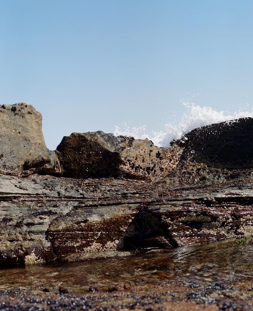 #mediumformat #mamiya #photography