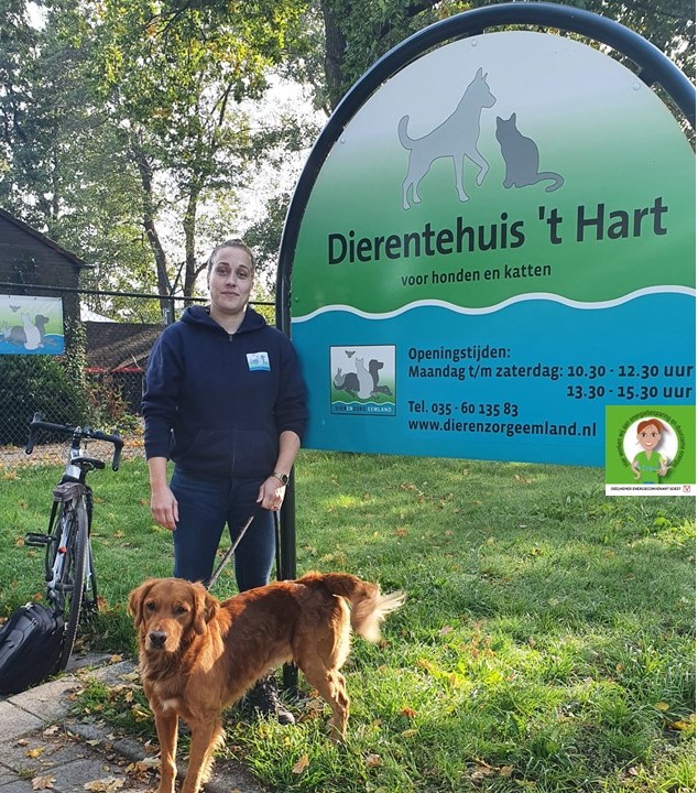 BmoSoest's tweet photo. @DierenzorgEemland Gaat verder verduurzamen net als de Soester ondernemers tekende #energieconvenant Ook #duurzaamondernemen? Vraag advies aan @basdehaas van @BmoSoest. Bel of stuur hem een bericht via 06 538 43 794 #aandeslagmetnieuweenergie #zonneenergie https://t.co/UZNshoJwh2