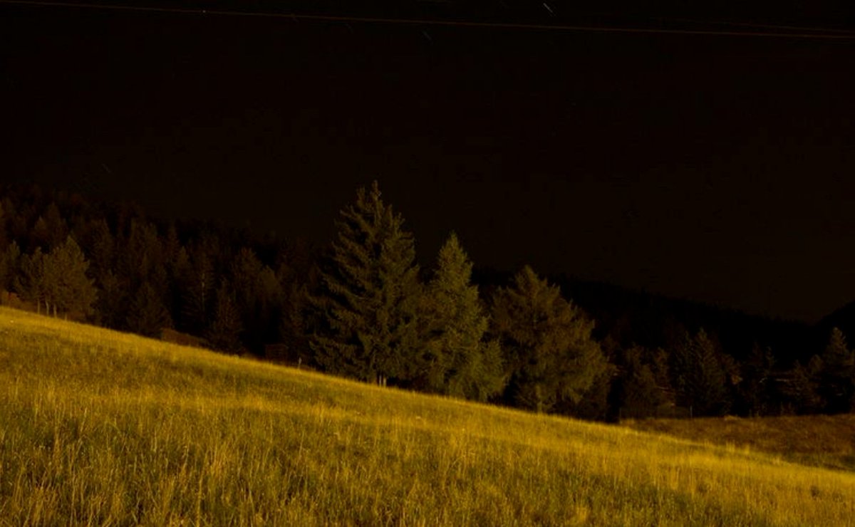 Jonathan Carmine tweet media