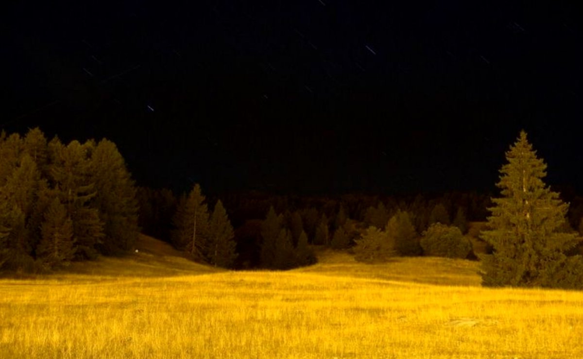 Jonathan Carmine tweet media