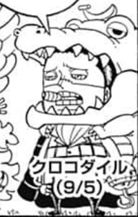 crocodile gallery (@crocodilepics) on Twitter photo 