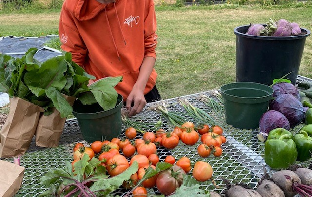 William Roper Hull School tweet media