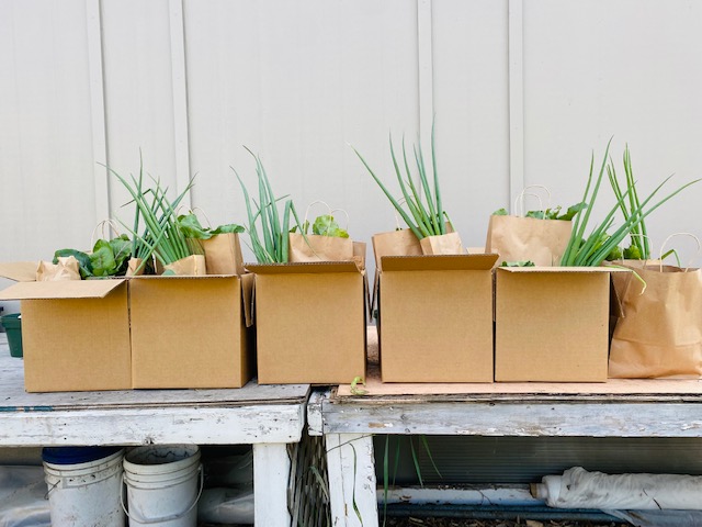 William Roper Hull School tweet media