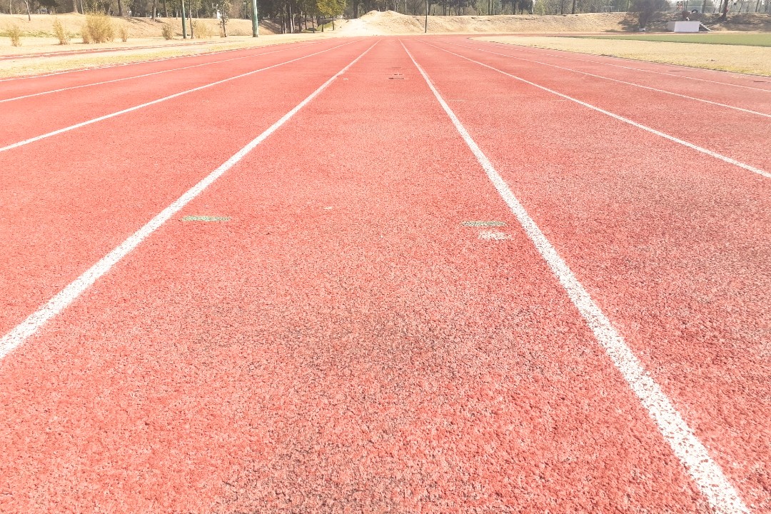 marclamaya's tweet photo. @RTMomentPhotos @SergioSpototo On your marks, set...
#LowAngles #photography #PHOTOS #photography #Atletismo #pista https://t.co/16uVn8dmHo