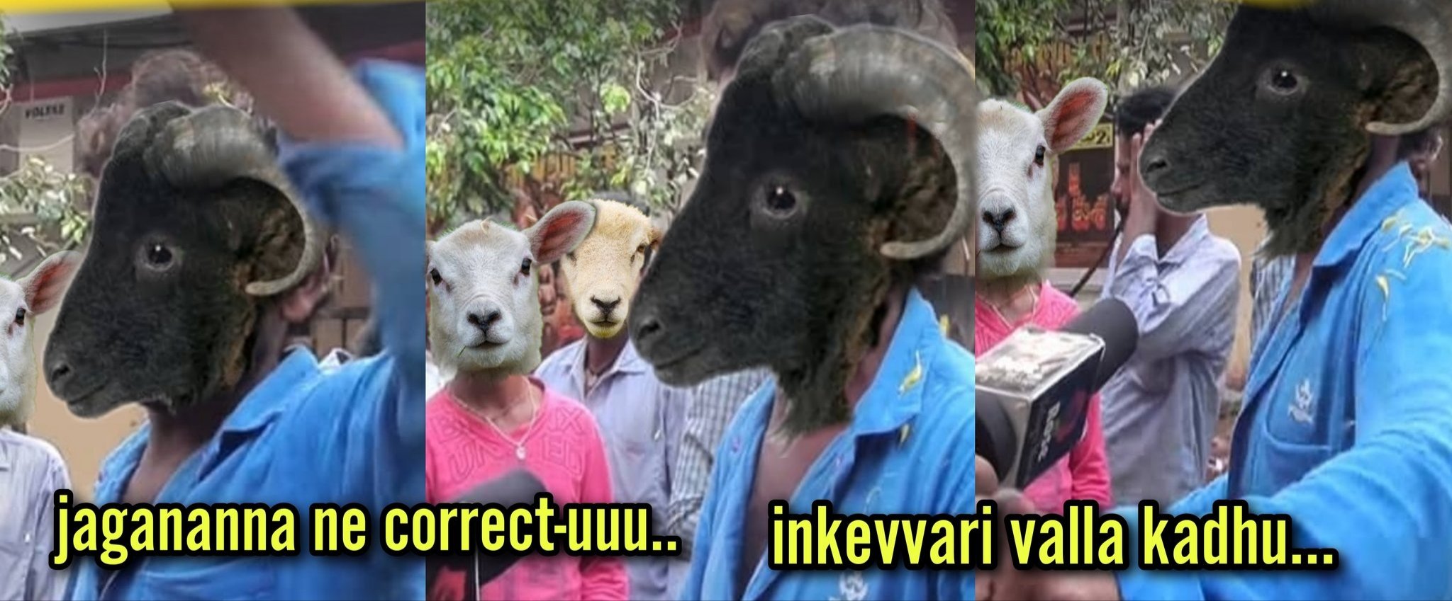 FfRZY79aMAAw8M0?format=jpg&name=large