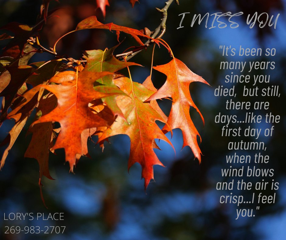 Lory's Place (@lorys_place) on Twitter photo 