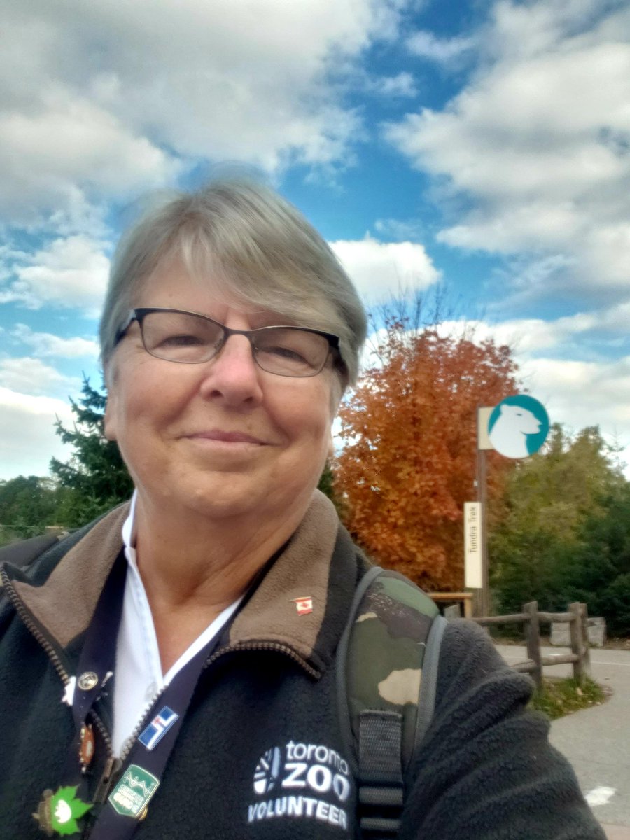 onedaywithNan's tweet photo. One of the prettiest places for a Fall walk is at @TheTorontoZoo 😍

#WhyZoosMatter #SavingSpecies #fightingextinction #volunteer #onedayishere https://t.co/N6njN4gcBw