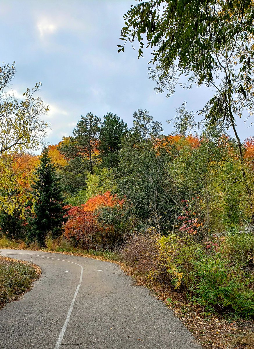 onedaywithNan's tweet photo. One of the prettiest places for a Fall walk is at @TheTorontoZoo 😍

#WhyZoosMatter #SavingSpecies #fightingextinction #volunteer #onedayishere https://t.co/N6njN4gcBw