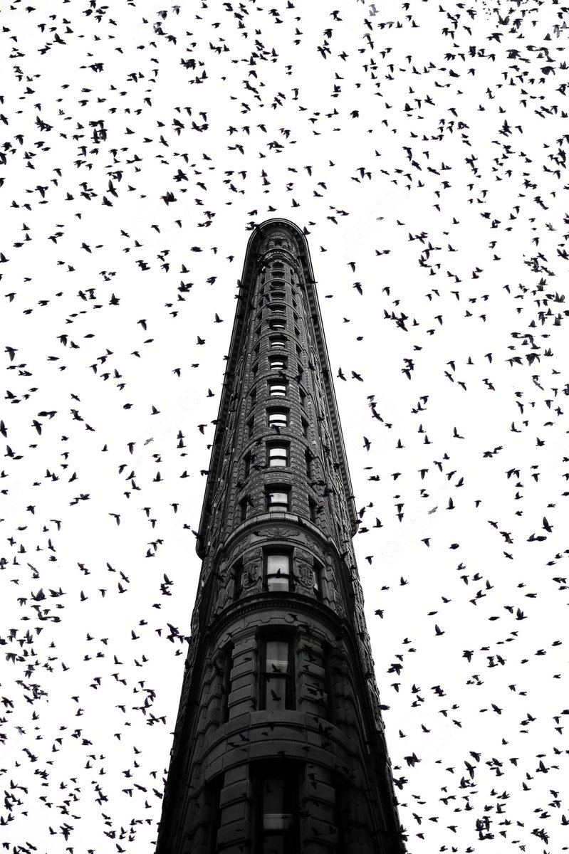 Futura_Noir's tweet image. Classic🦇 ~ 𝘙𝘢𝘺 𝘏. 𝘔𝘦𝘳𝘤𝘢𝘥𝘰