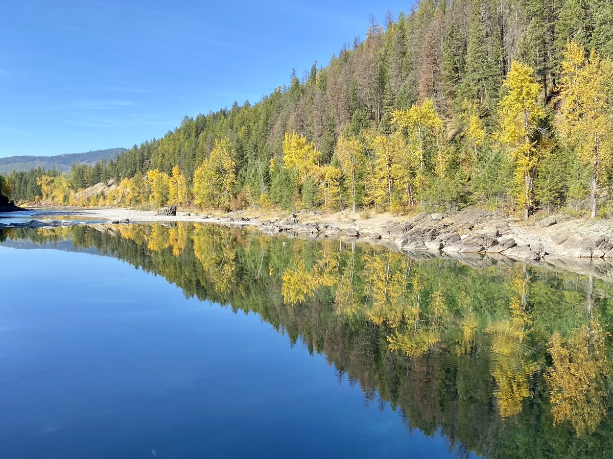 NathanWalzGbr's tweet photo. I snapped this photo of some #fallcolors yesterday reflecting off a river. 2nd image is the same photo just flipped upside down.  #Nature is #Neat https://t.co/wIqjaCqJjs