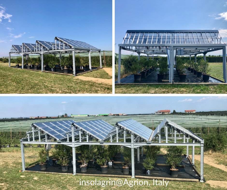 Insolight (@insolighttech) on Twitter photo New #insolagrin pilot installation !
We partnered with <a href="/Fondazione/">fondazionesonora</a> Agrion to build an agrivoltaic pilot installation in Italy! Our pre-series pilot over blueberries is in full operation!
More info on our collaboration coming soon!
#agripv #agrivoltaics #agtech #solarenergy New #insolagrin pilot installation !
We partnered with <a href="/Fondazione/">fondazionesonora</a> Agrion to build an agrivoltaic pilot installation in Italy! Our pre-series pilot over blueberries is in full operation!
More info on our collaboration coming soon!
#agripv #agrivoltaics #agtech #solarenergy