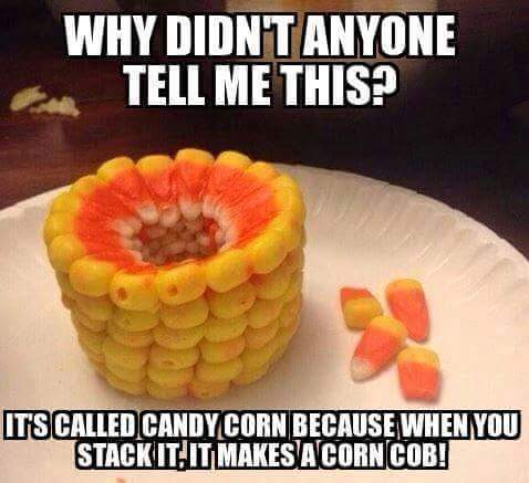 constance_seo's tweet photo. @BillieGeena also don't know if you've seen this, but mind-blowing 😂 https://t.co/fZxocwhw6p