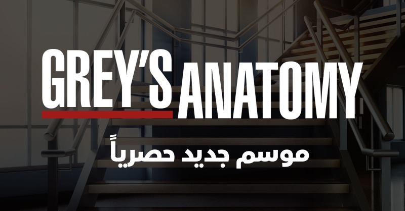 DisneyPlus_MENA's tweet photo. نداء لكل محبي مسلسل Grey's Anatomy🗣️ سيُعرض الموسم 19 قريباً حصرياً على ديزني+. اضغطوا زر اللايك ❤️ ليصلكم تذكير بموعد عرض المسلسل

Calling all #GreysAnatomy fans 🗣️ Season 19 is coming soon exclusively on Disney+! Like ❤️ this tweet &amp; you’ll receive a reminder to start streaming https://t.co/fZKJOUUscf