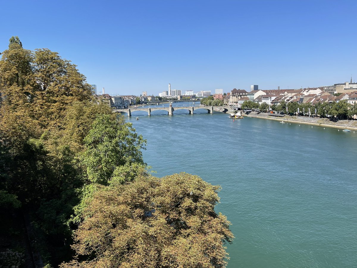 mrgreenlizard's tweet photo. Lai gan Bāzelē ir jūtamas rudens vēsmas, šodienas + 25 grādi pamudina dažus uz peldi Reinā! #Basel 🇨🇭🦎🍁 https://t.co/8aOL5ZErM5