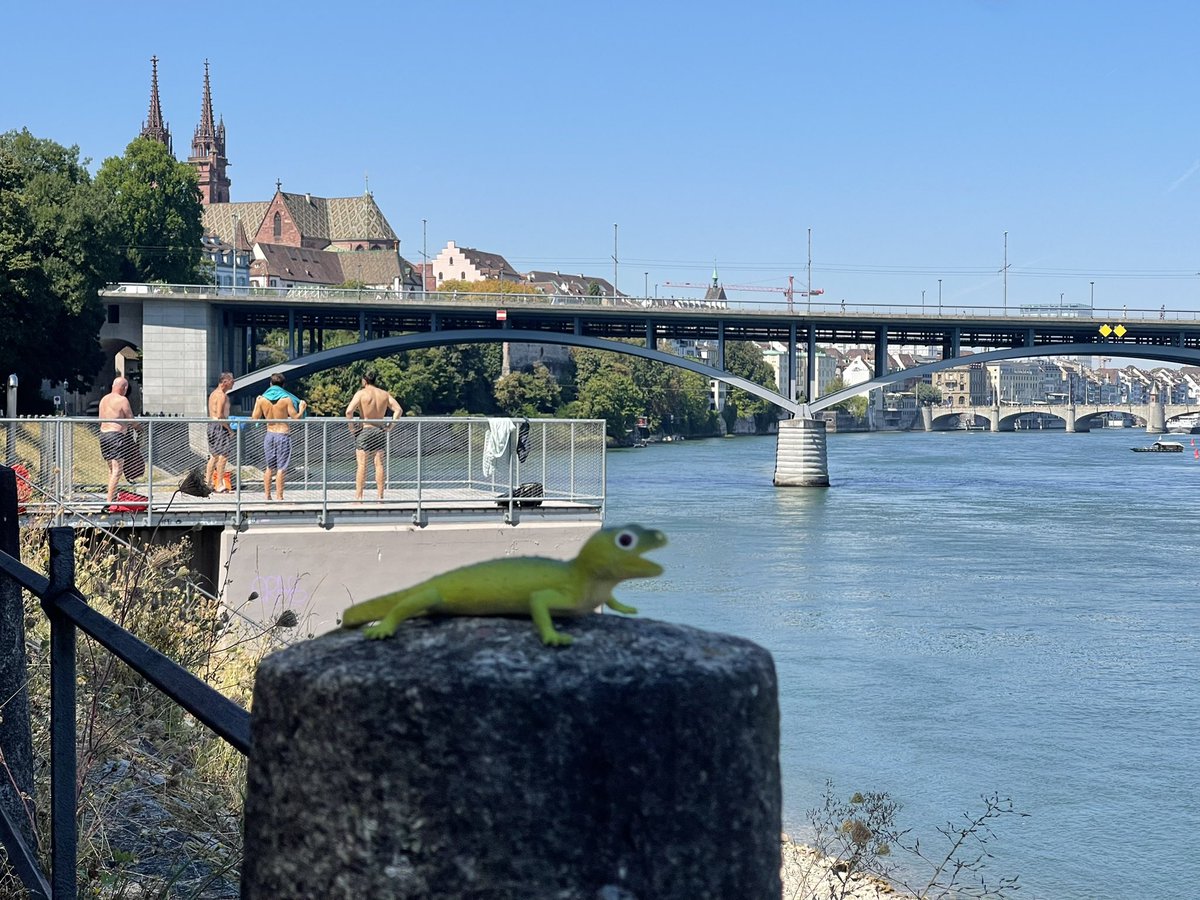 mrgreenlizard's tweet photo. Lai gan Bāzelē ir jūtamas rudens vēsmas, šodienas + 25 grādi pamudina dažus uz peldi Reinā! #Basel 🇨🇭🦎🍁 https://t.co/8aOL5ZErM5