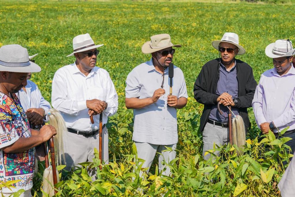 AbiyAhmedAli's tweet photo. በአማራ ክልል  በማዕከላዊ ጎንደር ዞን በ38,000 ሄክታር እና በጠገዴ ወረዳዋ አዲስ ዓለም 1,200 ሄክታር በኩታ ገጠም   የተመረተውን አኩሪ አተር ጎብኝተናል።  ያስገኙት ምርት በእጅጉ አበረታች ነው። (1/2) https://t.co/0dlIdG4uA0