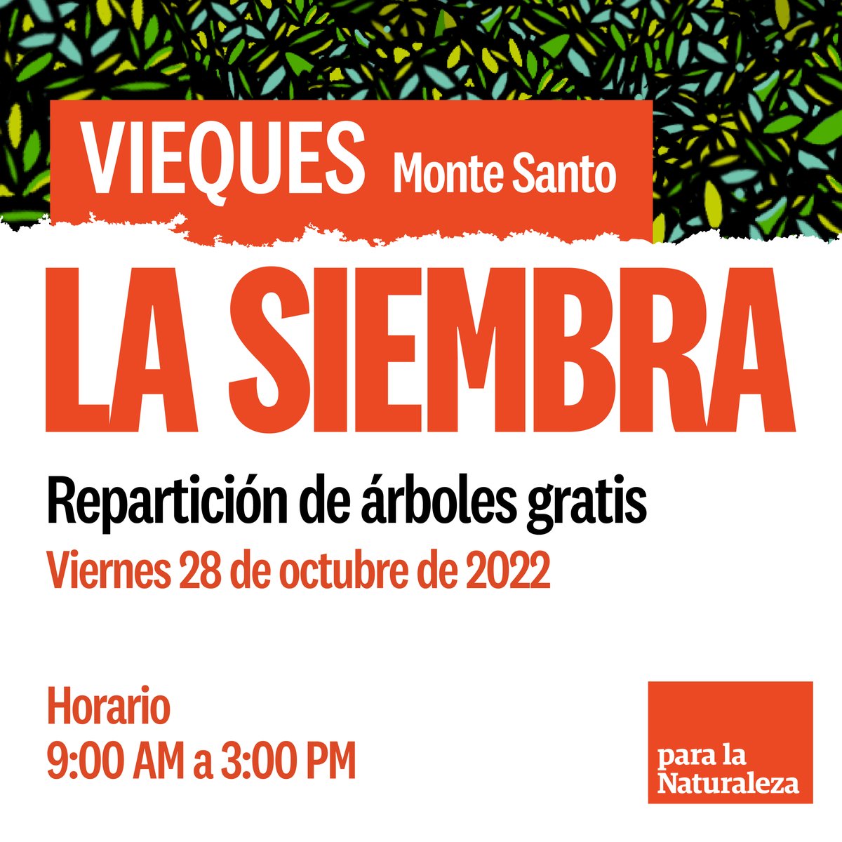 Vieques se une a la reforestación de las islas de Puerto Rico. Recoge tus árboles y sé parte de #LaSiembra2022, un movimiento ecológico comunitario para promover la reforestación.Separa la fecha, recoge tus árboles y acompáñalos a crecer. Conoce más en pln.org/LaSiembra