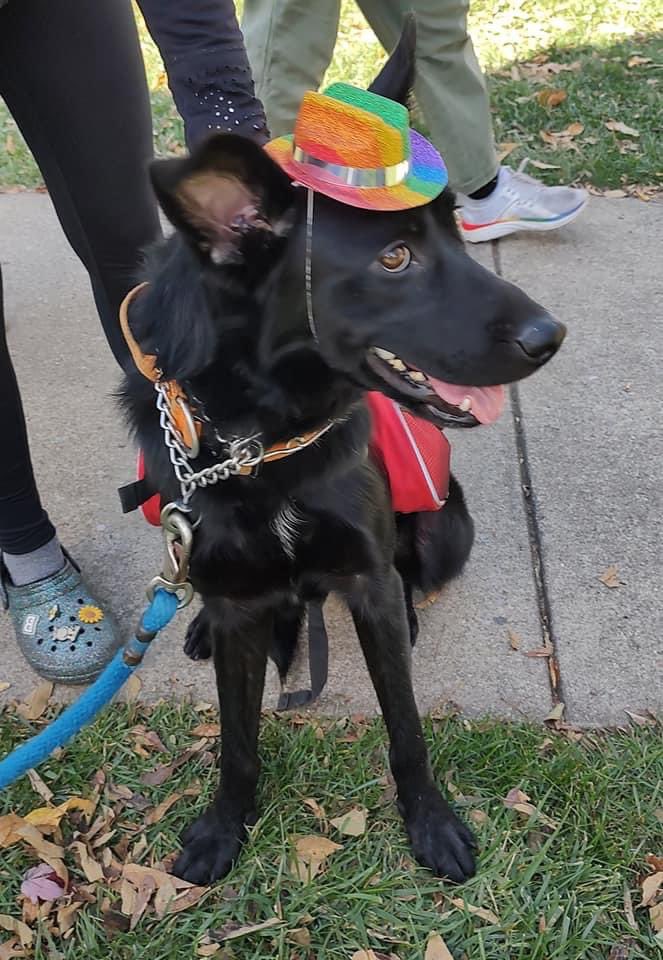 freemomhugs's tweet photo. It was a #PridePup weekend at #pikevillepride with Free Mom Hugs- Kentucky and their amazing volunteers!
Letβs flood this Monday with more Pride Pup Pics from the weekend!
#freemomhugs
#pride2022
#puppylove
#dogsofpride
#puppysnuggles
#therapydogs https://t.co/hRJy6SBu2Z