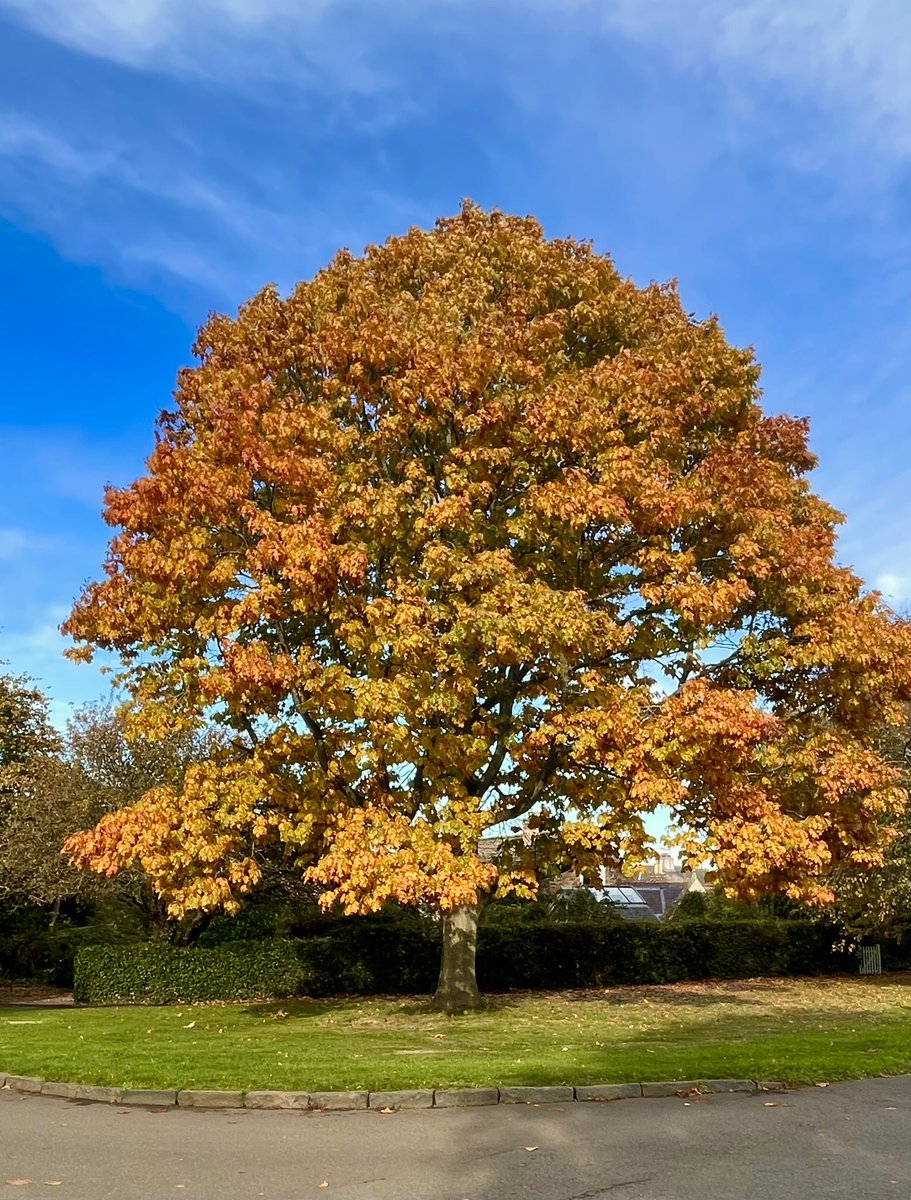 ShotsBug's tweet photo. @StormHour @RMetS @RainViewer #autumn #stormhour https://t.co/MhgEVkTYDt