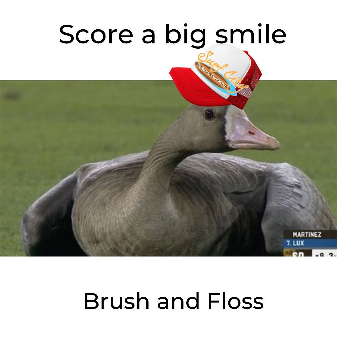 The baseball goose would like to remind us that we can all have a winning smile 😃🤣😂