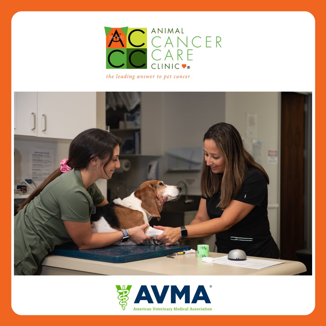 PetCancerCare's tweet photo. We are proud to join the @AVMAvets in the celebration of National Veterinary Technician Week. These team members are vital to our care of animals with cancer and we look forward to showing them every day this week our gratitude for their compassion, dedication and hard work. https://t.co/uF4PL8w2RH