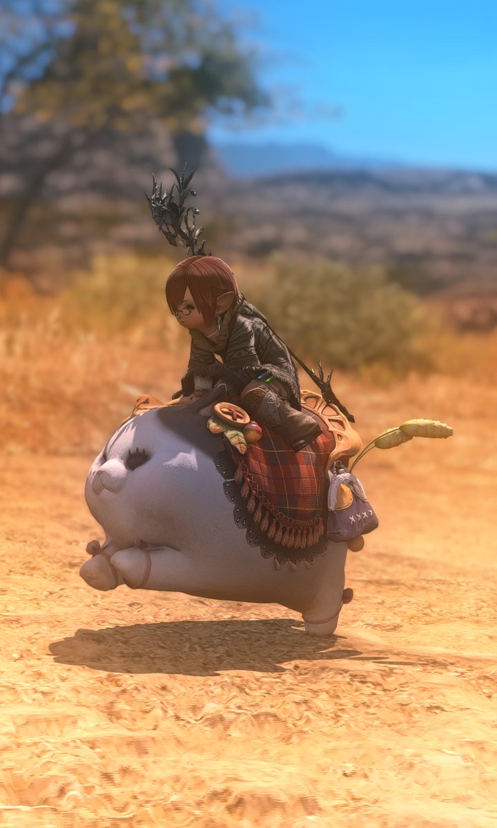 Fallonforpotato's tweet photo. Favorite mount
#FFXIV #FF14 #FFXIVScreenshots #ffxivsnaps #AetherDC #lalafell https://t.co/ETROliwzDW