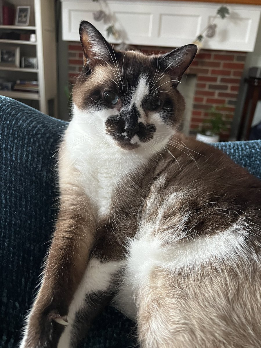 Ezra says: don’t miss the <a href="/awscloud/">Amazon Web Services</a> #DeepRacer regional finals at 2:00 pm Eastern. Europe, Middle East, and Africa battle to see who will make the 2022 finals. 
#zoomzoom 🏎
Twitch.tv/AWS