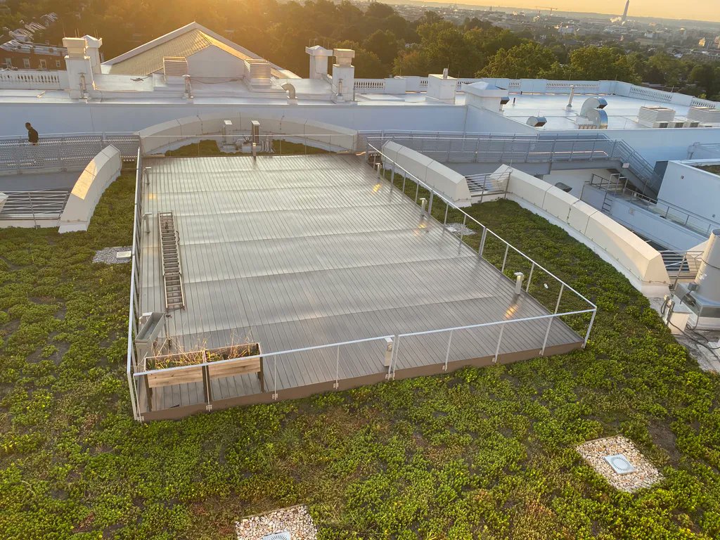 The <a href="/dukeellingtondc/">Duke Ellington School of the Arts</a> School of the Arts is an architectural marvel. The neoclassical building seamlessly blends our #ecocline #greenroof system into its #stormwater management needs without compromising any of its aesthetic. #washingtondc #sustainability #sustainabledesign