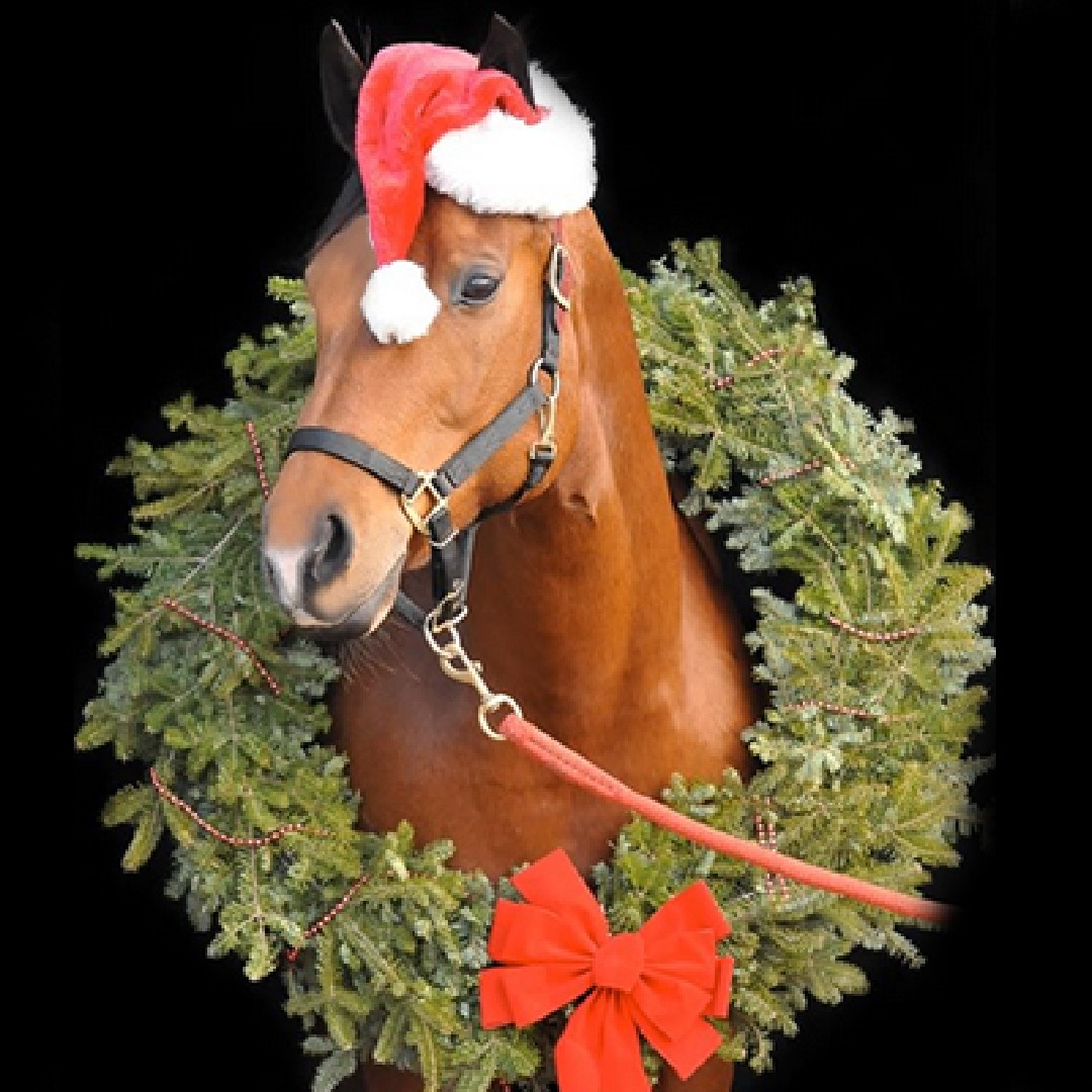 NCCDE's tweet photo. Today's the day to register for winter camp at Carousel Park! What a great Christmas gift! Limited spaces available. Dec. 27-30, ages 8-14, $300. Register online ONLY at https://t.co/w9zlCEkTLv #netde #nccde #carouselpark #equestrians #delawareequestrians https://t.co/Q3ysJIjW9k