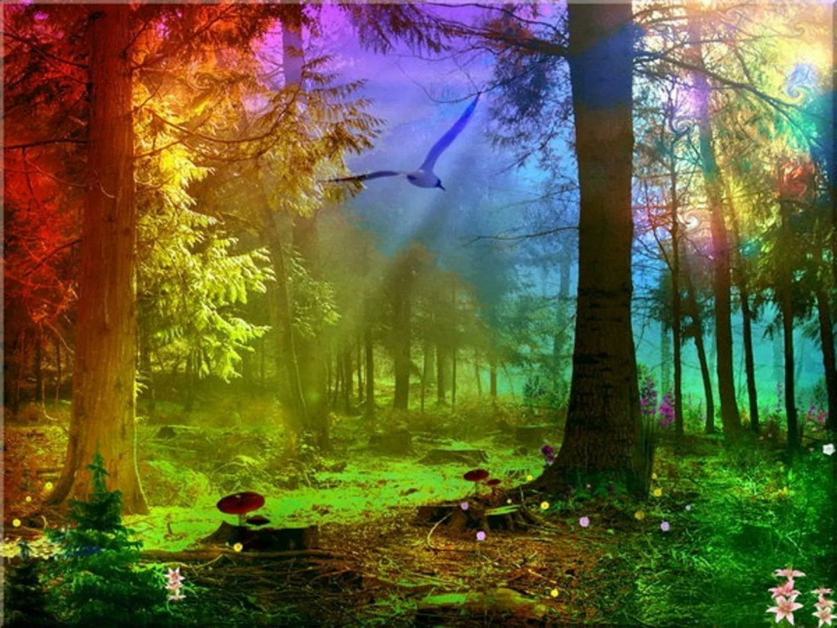 noveliciouss's tweet photo. Just one small #positive thought in the morning can change your whole day.
#DalaiLama
#writing #film https://t.co/YtNpeAMgBX