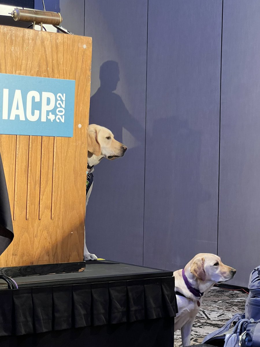 Serving4Police's tweet photo. Well, that was a welcome good morning from Connecticut. Got a nice good morning boop. #ServiceK9 #OfficerWellness @JohnJayCollege @TheIACP #IACP2022 https://t.co/ORZUw0MvPb