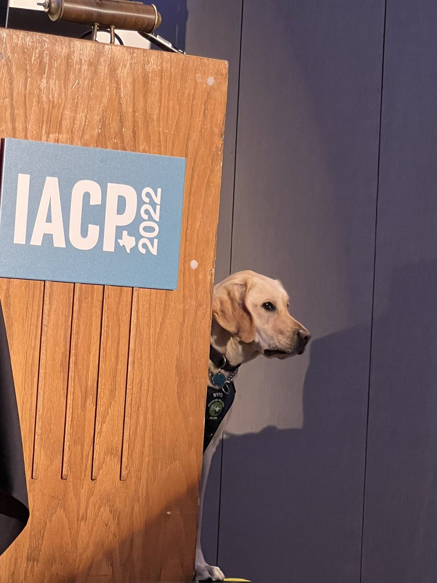 Serving4Police's tweet photo. Well, that was a welcome good morning from Connecticut. Got a nice good morning boop. #ServiceK9 #OfficerWellness @JohnJayCollege @TheIACP #IACP2022 https://t.co/ORZUw0MvPb