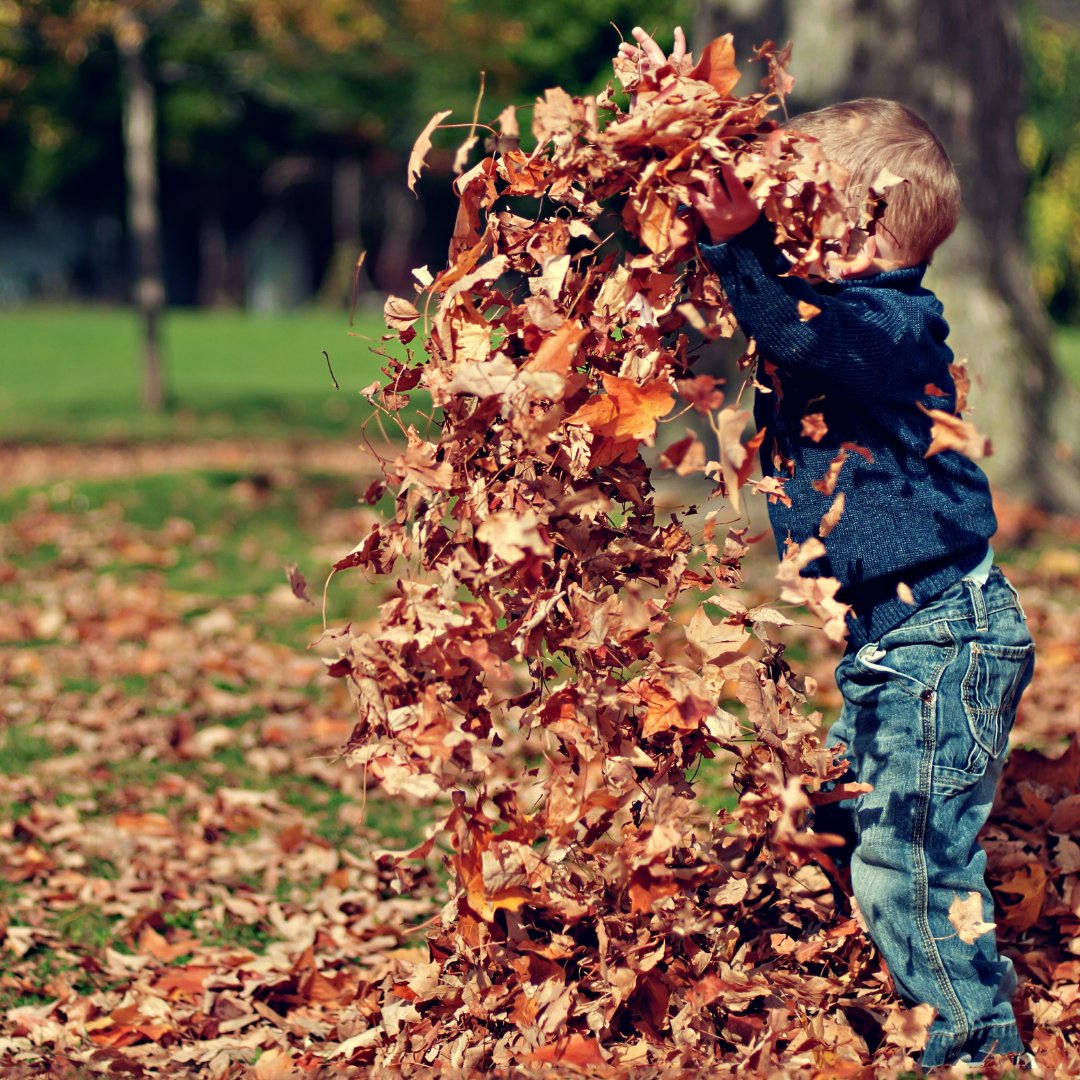 tummycalm's tweet photo. To fully embrace the season, we’ve put together a list of fun fall activities to do with your little one(s). 

https://t.co/h7q8GUvLFq https://t.co/JLW0wEfokm