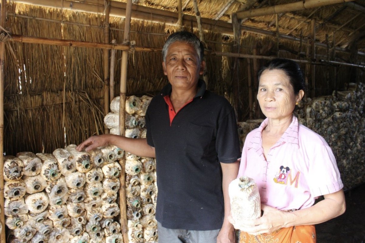 On Int. Day for Eradication of #Poverty #today &amp; commemorate #IDRR day on Oct 13th 🔎 read our story on why it's so important to have #EarlyWarningForAll+ this year's #EndPovertyDay goal to recover better together w/the planet🌍➡️ bit.ly/3T63Arz

#DignityForAllinPractice