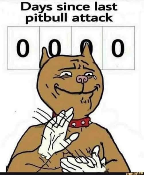 kaptainamusing's tweet photo. @by_pets #shitbull owners are the worst. https://t.co/ozE66KRzSG