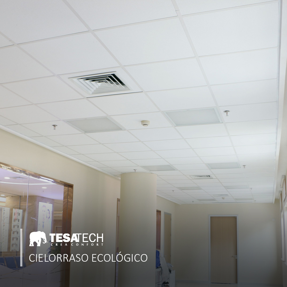 tesatech1 tweet picture