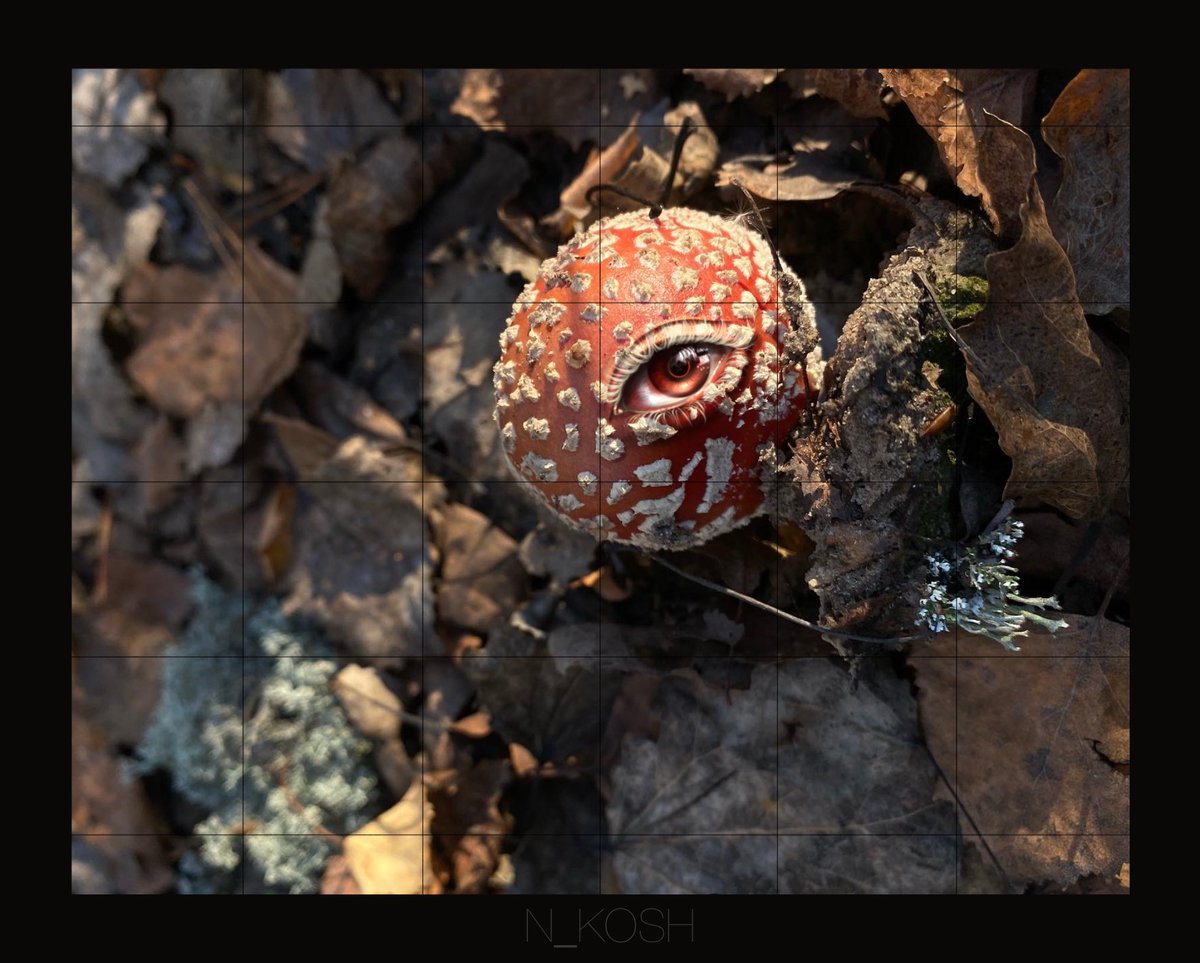 Good afternoon friends🖤

Demonic Paranoia
A little experiment with photography and art. The idea came to me after nightmares at 3 a.m.