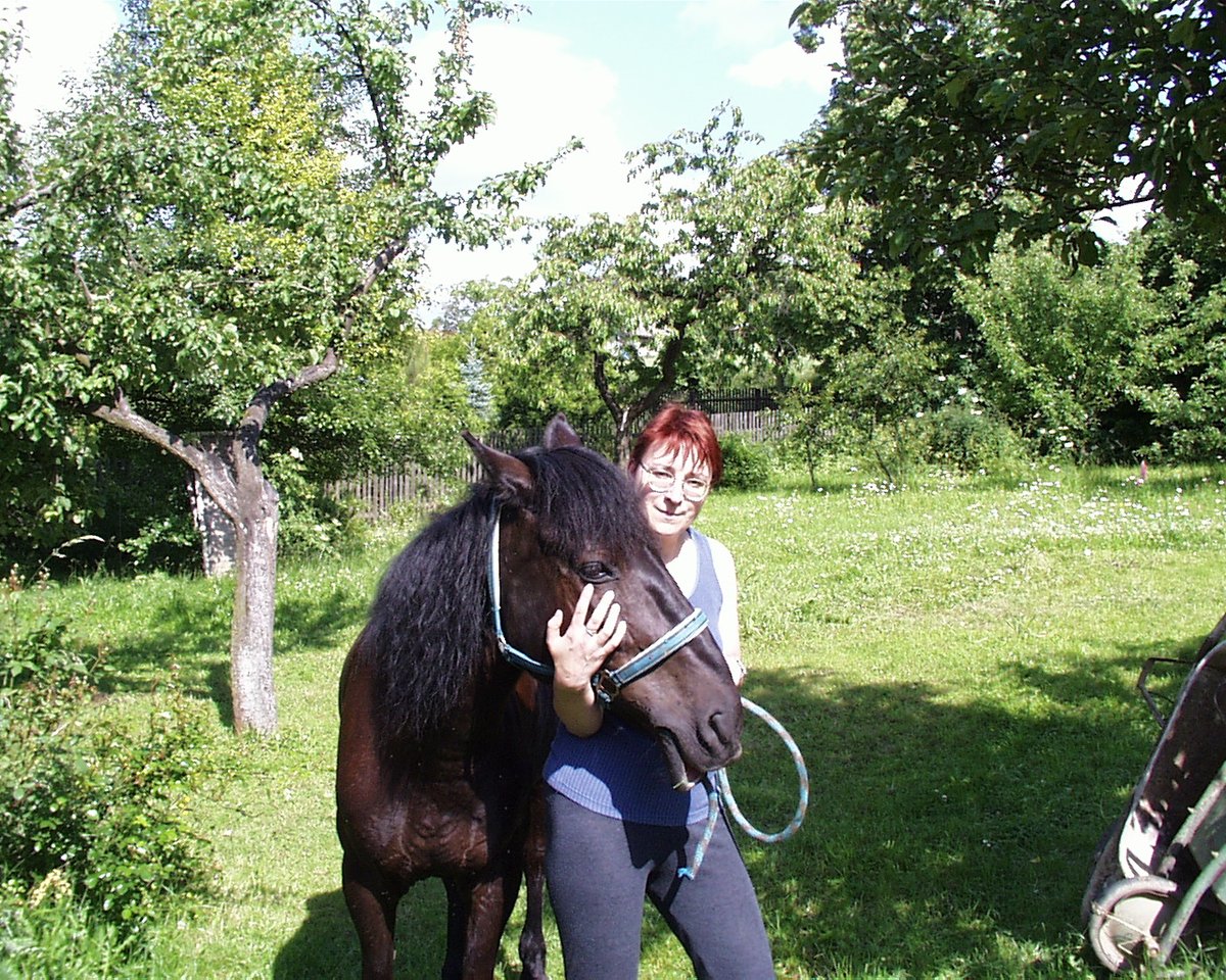 Jenny Nowak 🇺🇦 on Twitter