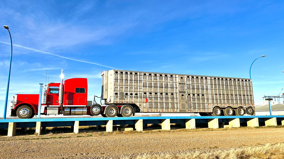 Eastland Transport Ltd tweet media