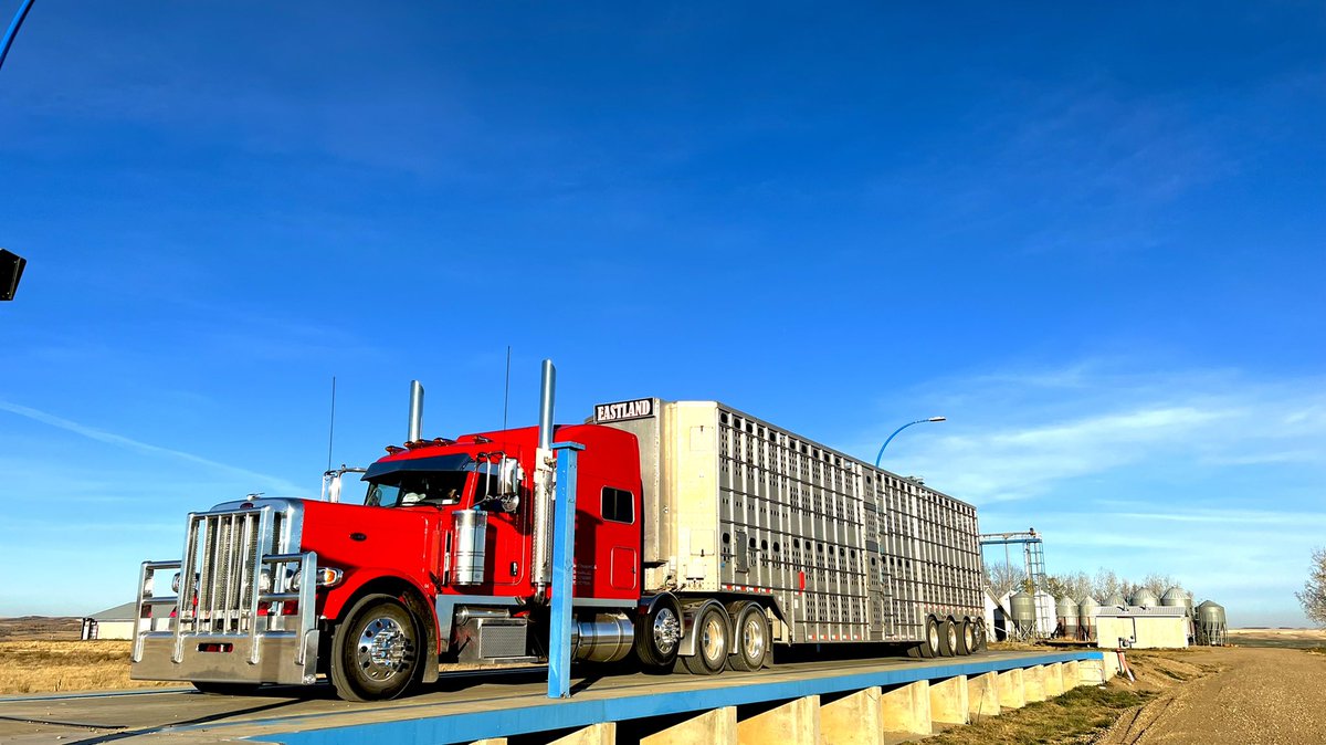 Eastland Transport Ltd tweet media