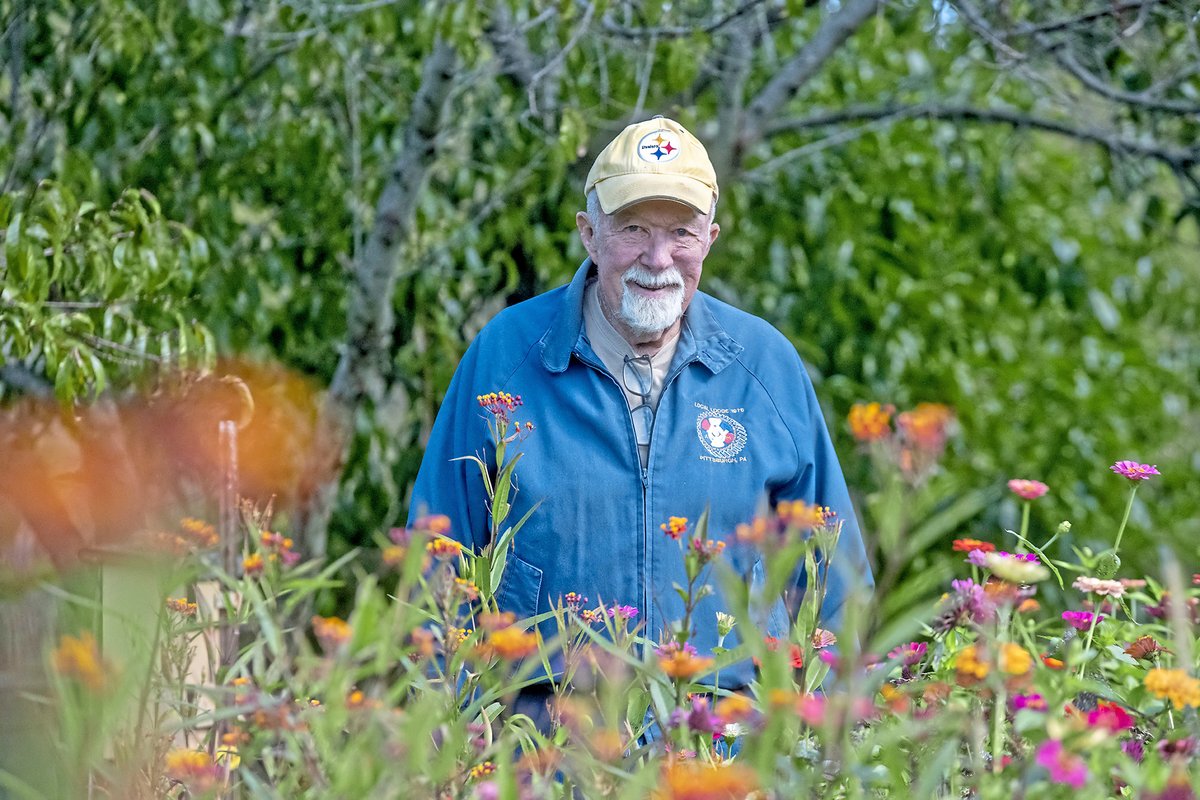 goodness tweet media