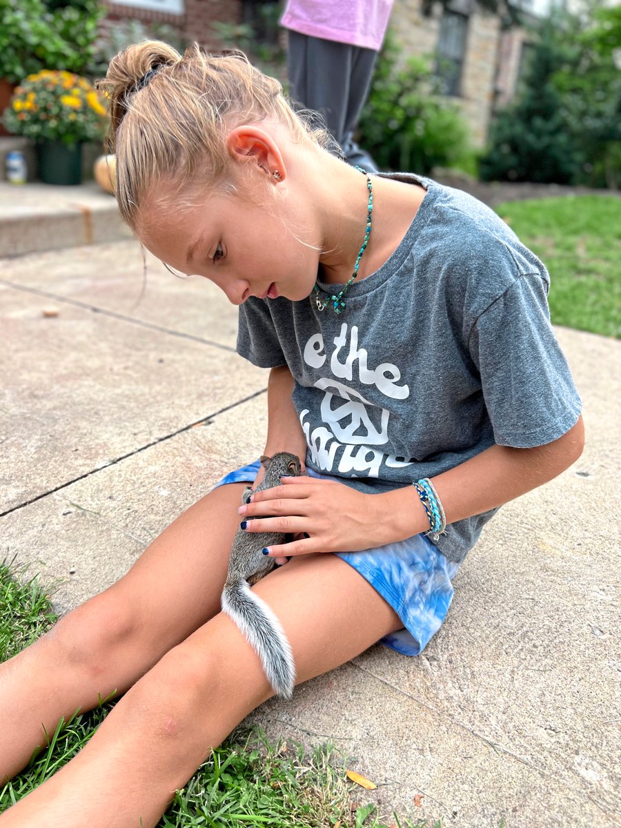 goodness tweet media