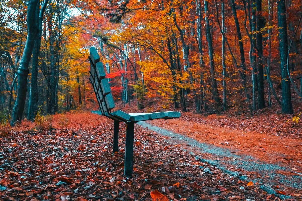 Rod_cali247's tweet photo. Have a seat #picoftheday #Atlanta https://t.co/4Oy3xPoBbB