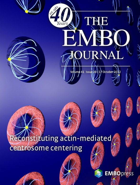 The EMBO Journal tweet media