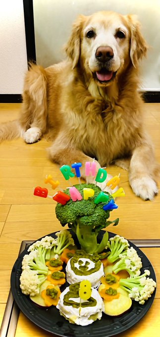 浅倉大介さん の最近のツイート 1 Whotwi グラフィカルtwitter分析