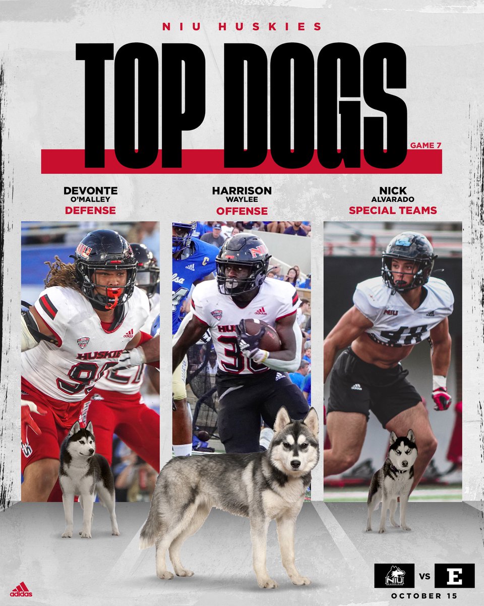 NIU Football tweet media